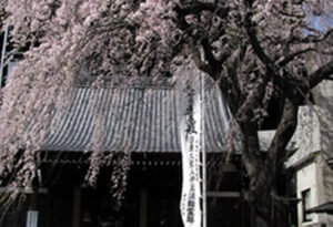 蓮慶寺