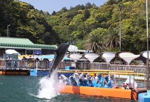 下田海中水族館