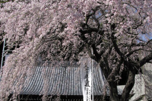 蓮慶寺
