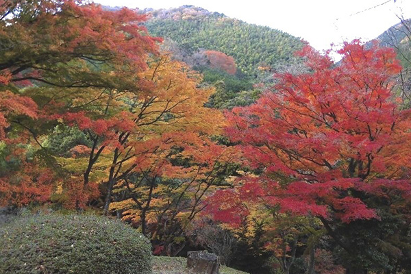 伊東の秋