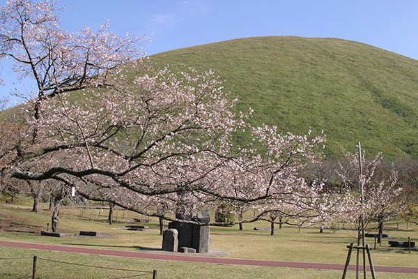 伊東の秋